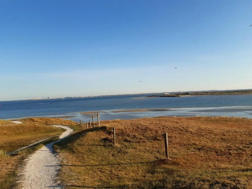 genieten texel 8