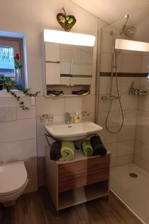 Apartment Lischa Fiesch