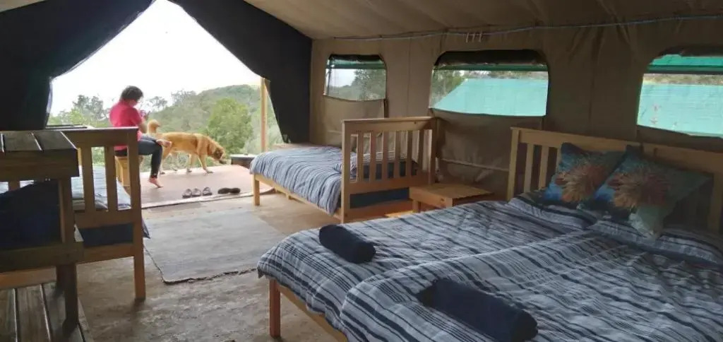 Trees&Seas tented camp