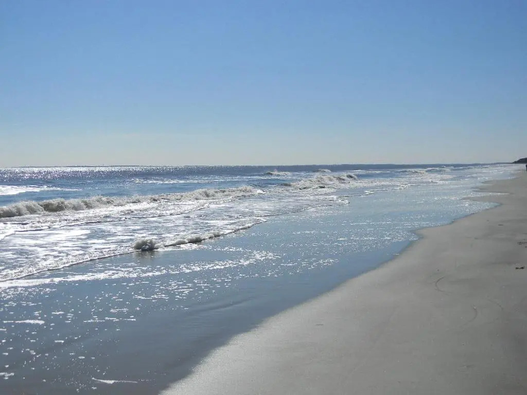 2309 SeaCrest 3 BR Forest Beach Condo