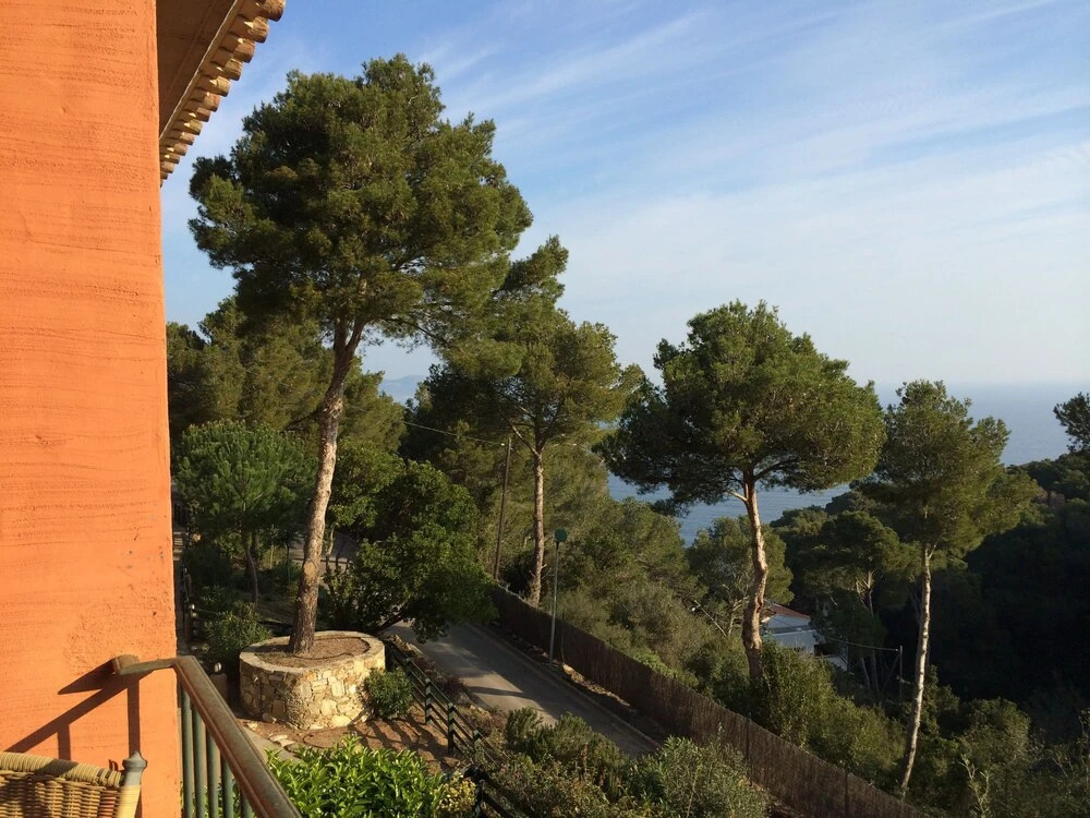 Cova sal