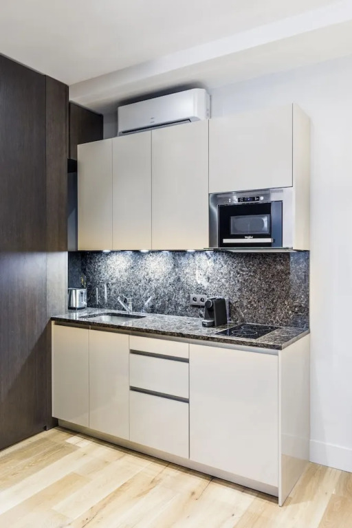 Luxury Apartment Paris Louvre II