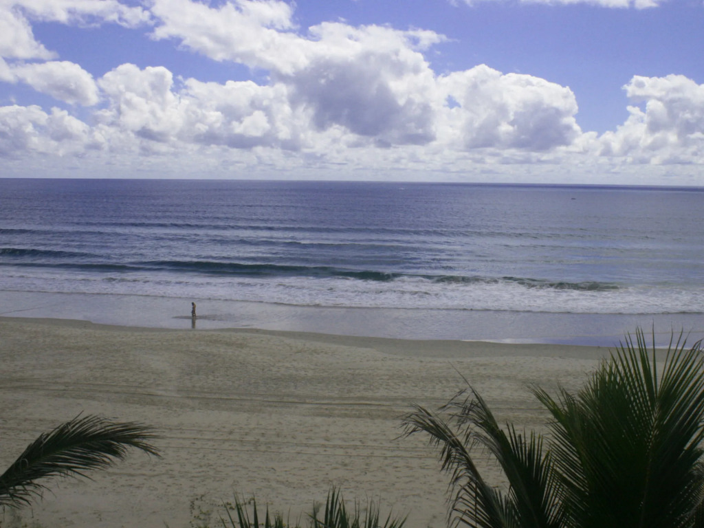 Surfers Horizons