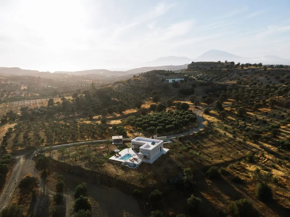 Ramo dolivo Villa