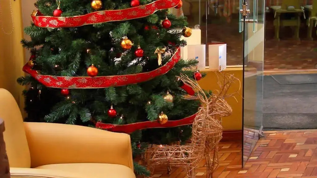 Hotel Cima Argentum