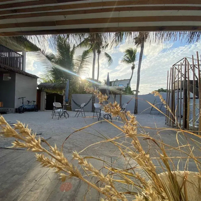 TWIN PALMS Surfhouse