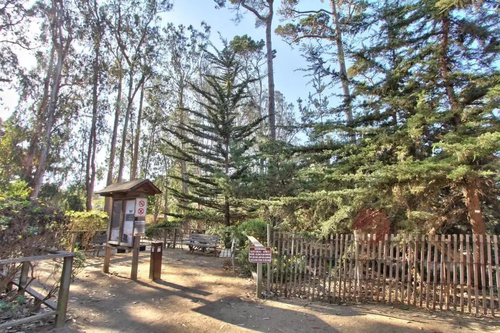 Butterfly Grove Inn