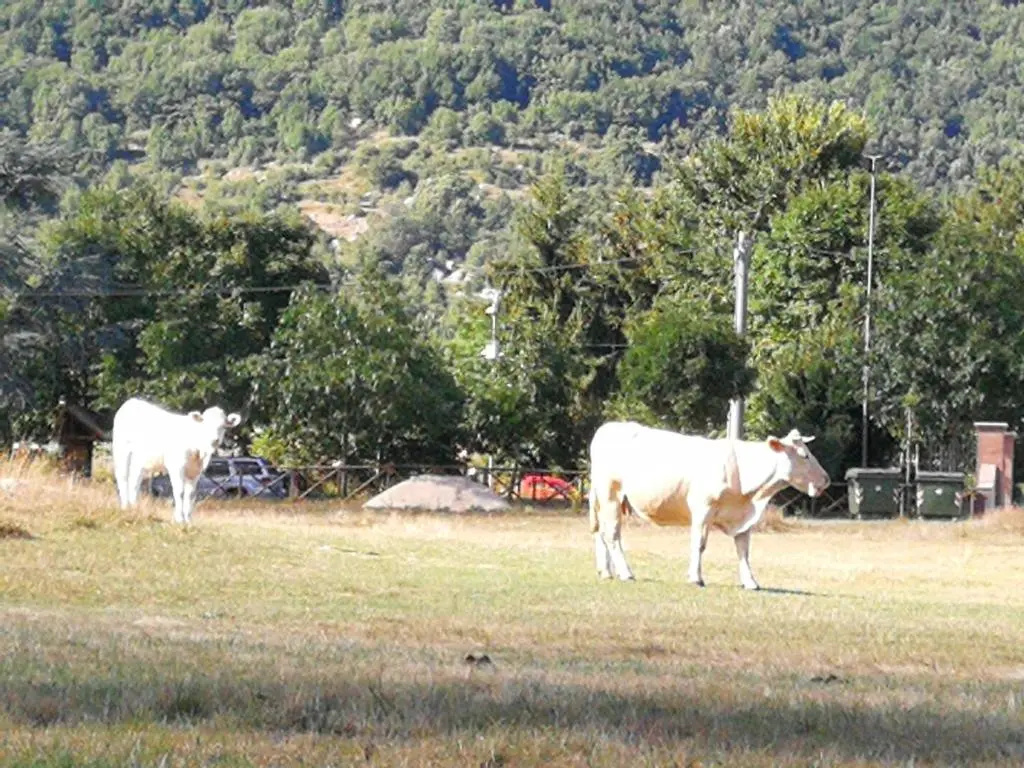 Casa di Josè e Miriam