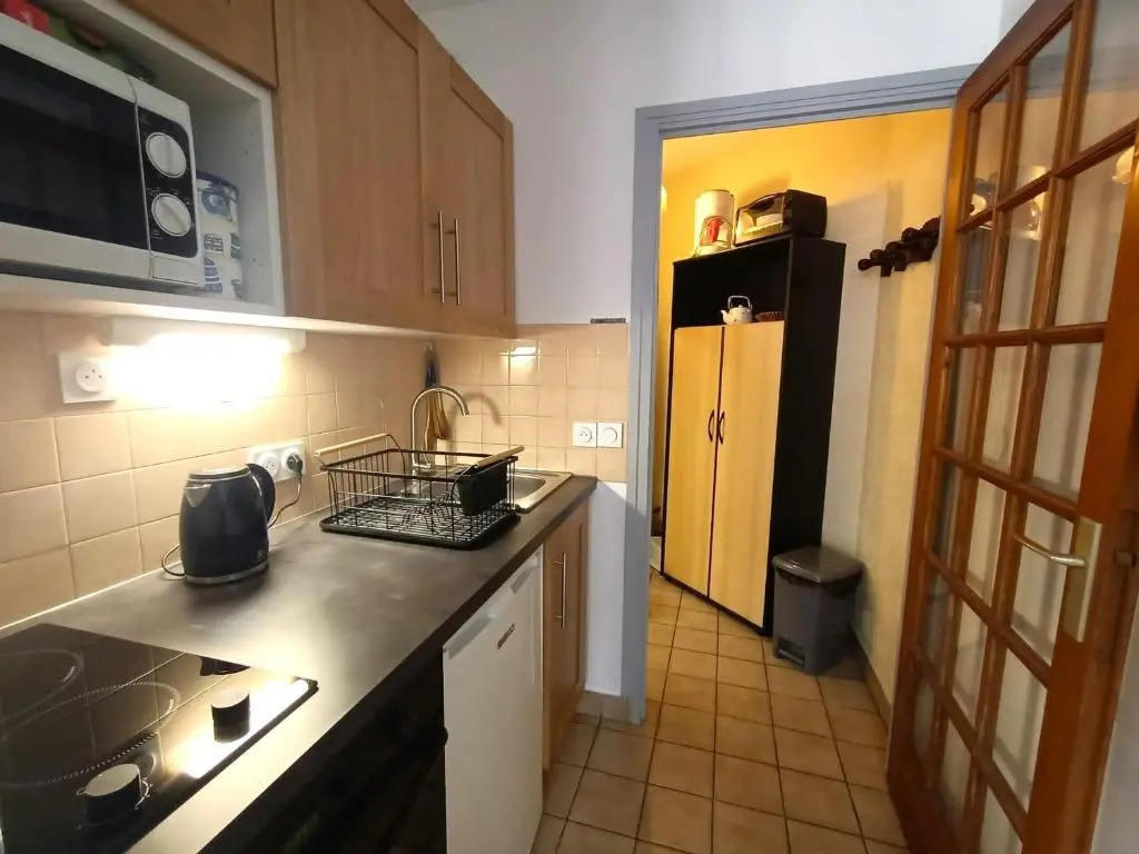 Studio Aix-les-Bains, 1 pièce, 2 personnes - FR-1-555-20