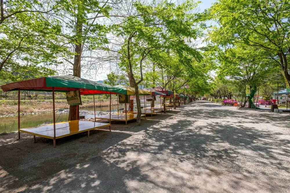 Donghwa pension
