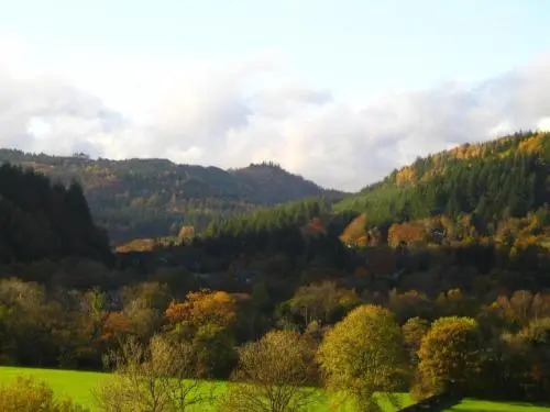 Llety Betws