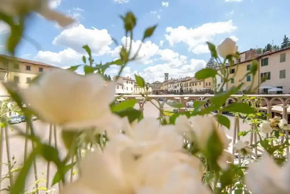 Suite Greve in Chianti - Suite con Terrazza 101, Greve in Chianti