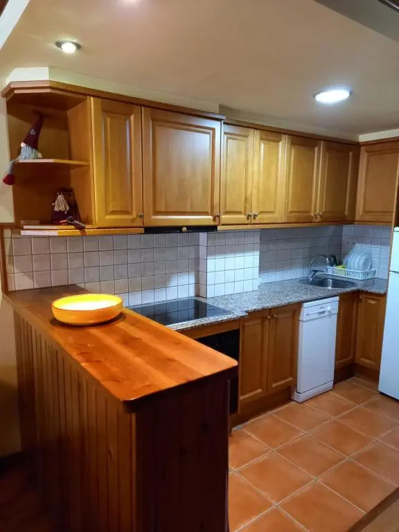 Acogedor Apartamento 2 Habitaciones en Boí