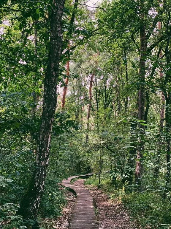 Mimi's natuurhuisje