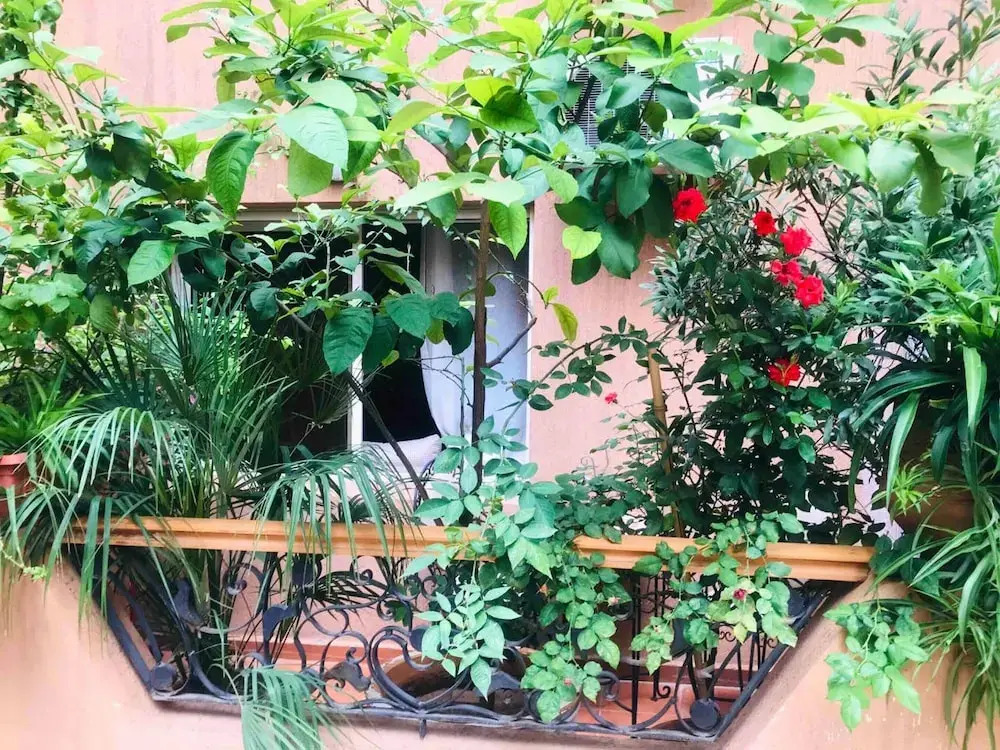 Apartment With 2 Bedrooms in Marrakech, With Shared Pool, Furnished Terrace and Wifi