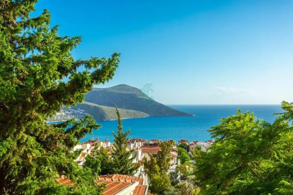 BG Villas & Aparts