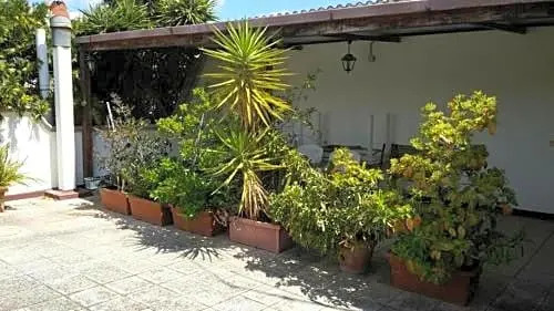 B&B Camelie