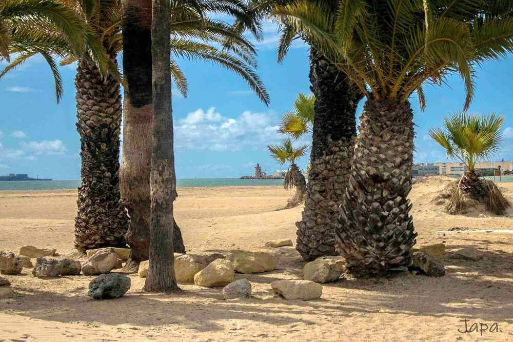 Apartment With 2 Bedrooms in El Puerto de Santa María