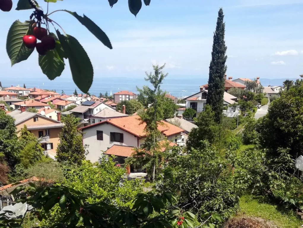 Parenzana 376
