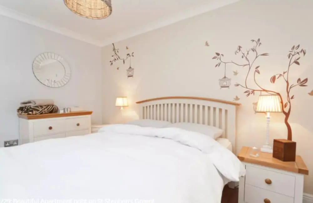 1 Bedroom Apartment On St Stephen's Green