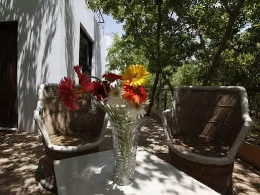 The Woods Villa Resort