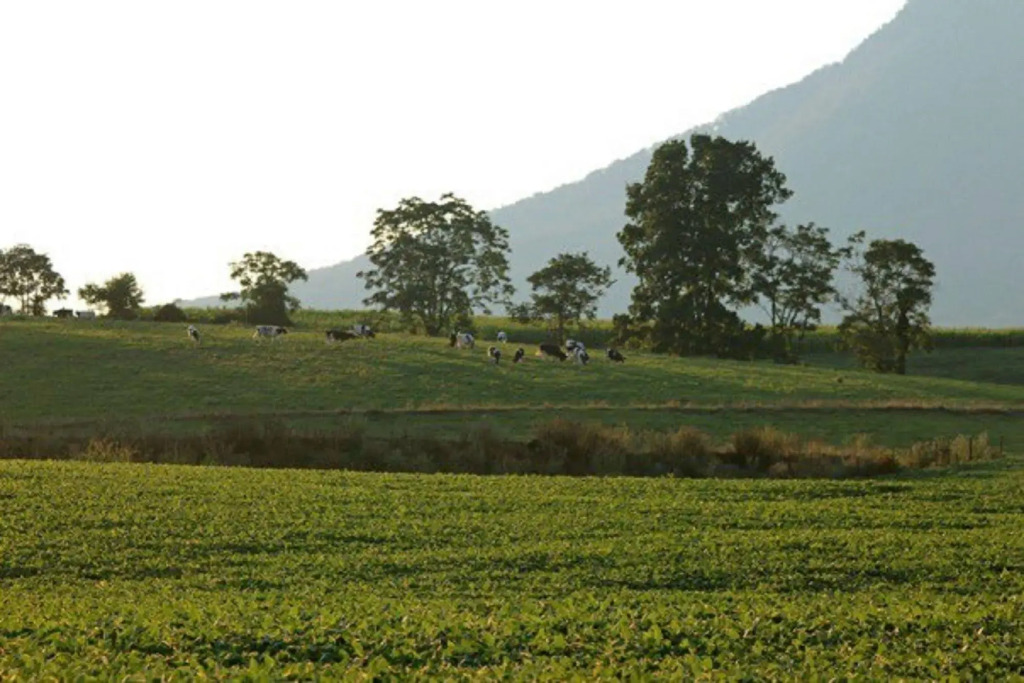 Cave Hill Farm Bed & Breakfast
