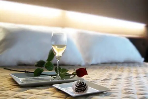 Hotel Salus