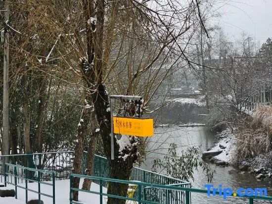Hanmu Chunhua Mountain Ye Tangquan Meishu
