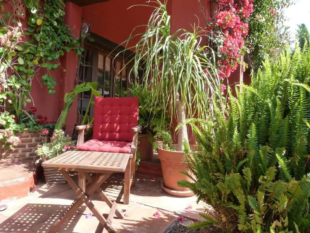 Casa Las Palmeras Suites Marbella - Adults Only
