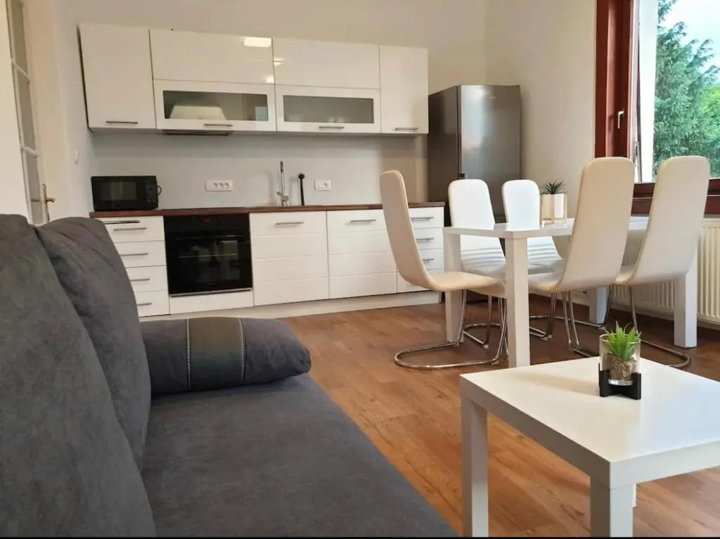 Huge BBQ Garden, Spacious Flat, AC, Free Parking 2