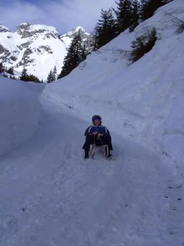 Strussingalm