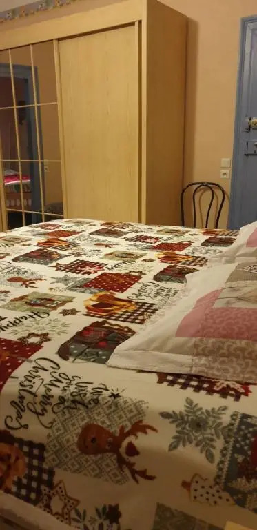 Felicita Vintage Appartements - Colmar City Center