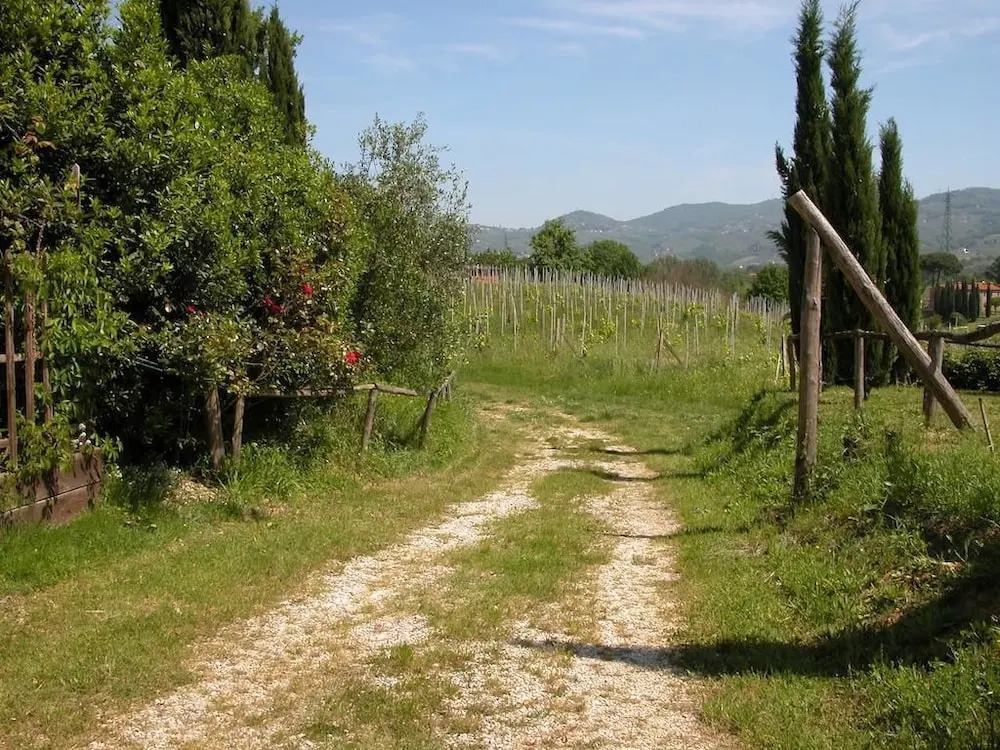 Palma's Country B&B