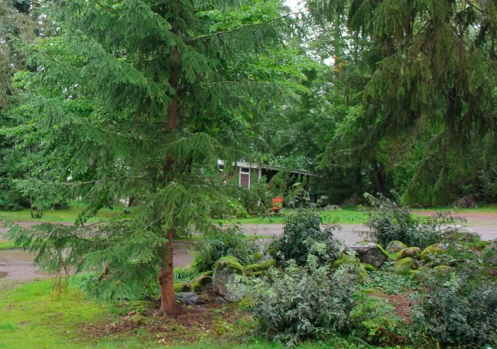Tervakosken Tervaniemi hirsimökki & oma sauna