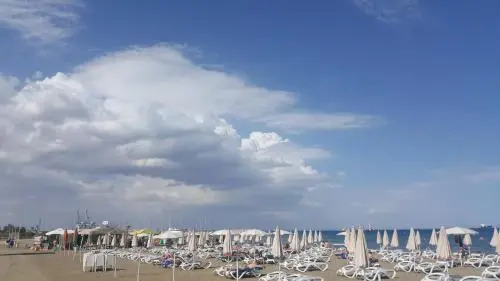 Alex Beach Apartment 31