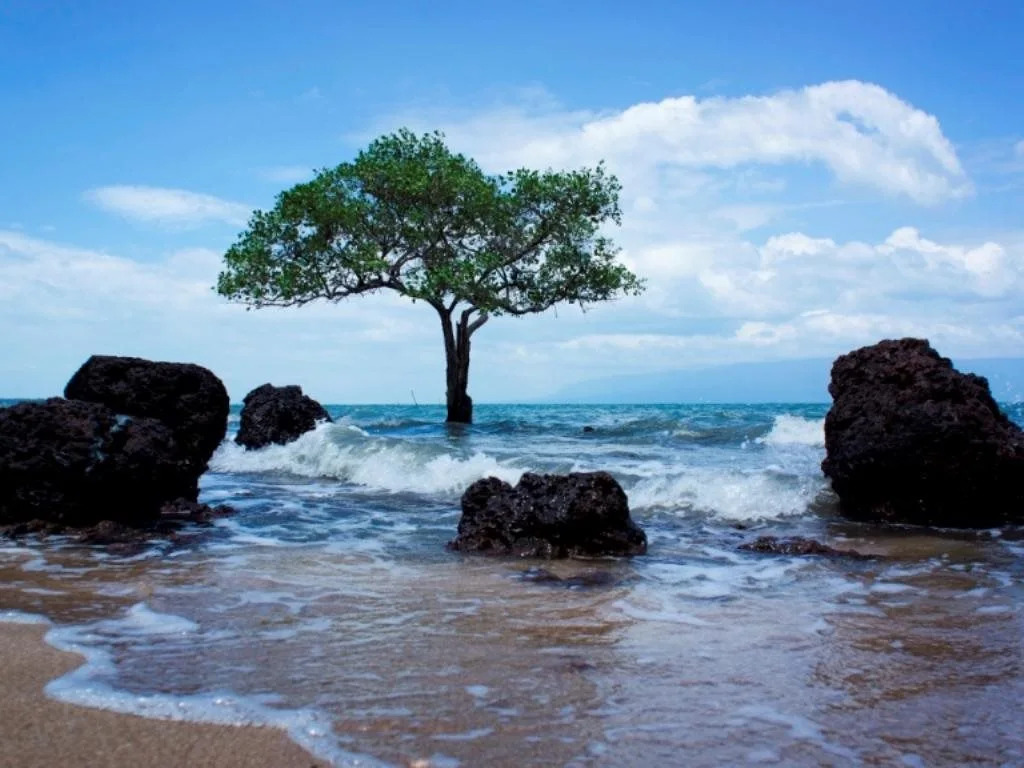 Bai Thom Cay Vong Nem Resort