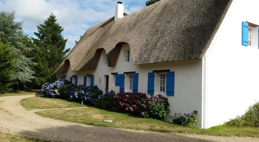 Les Nymphéas