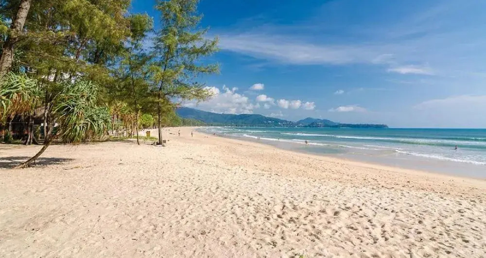 The Aristo Beach by Holy Cow 318