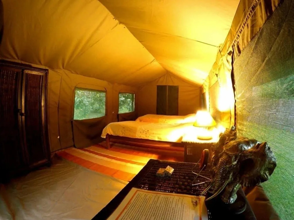 Pioneer Lodge Camp and Safaris
