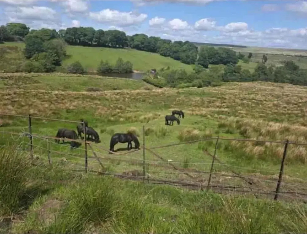 Grange Cottage Retreat in Bolton