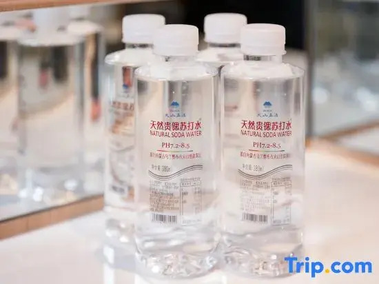 Jinyi Preferred Hotel (Chayouhouqi Government Affairs Service Center Branch)
