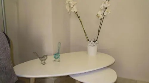 Smile Studio