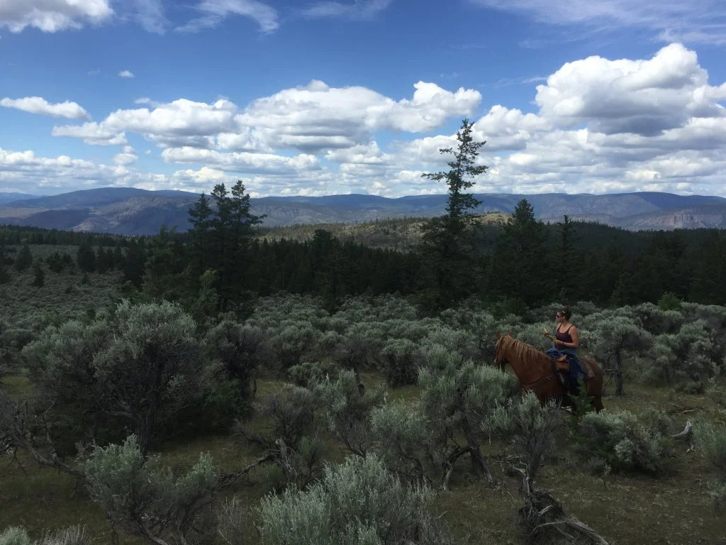 YD Guest Ranch
