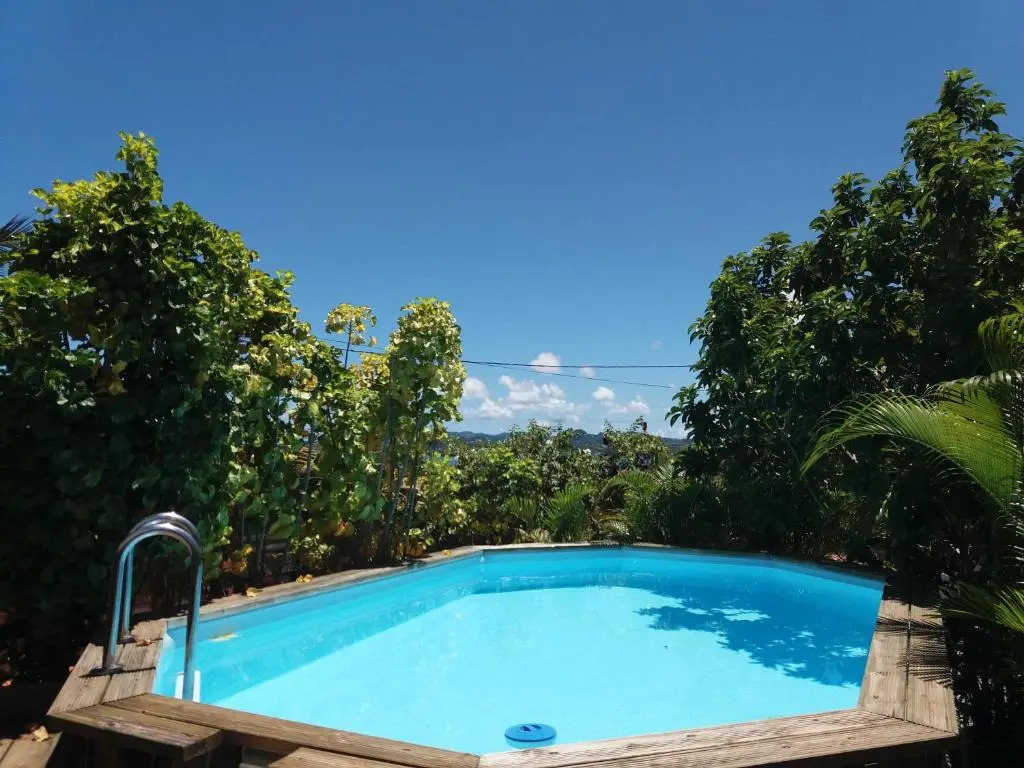 Beau F2 classé, vue mer, spa, jardin, parking et deck privatifs - piscine partagée