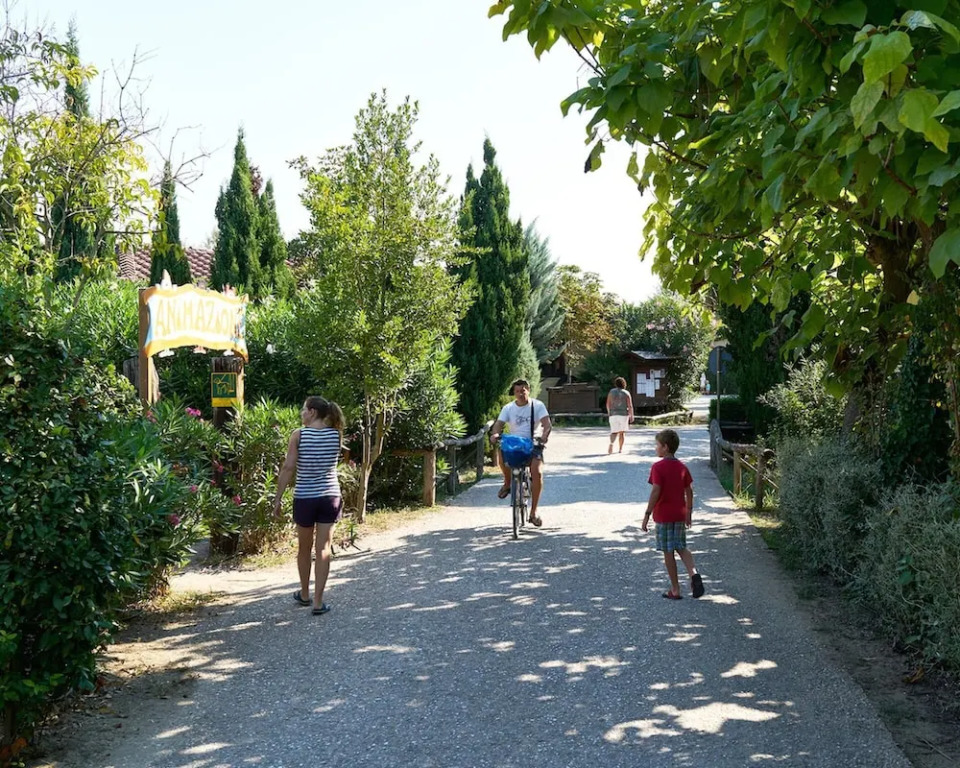 Comfortable Campsite-chalet G14 Tuscany Near sea