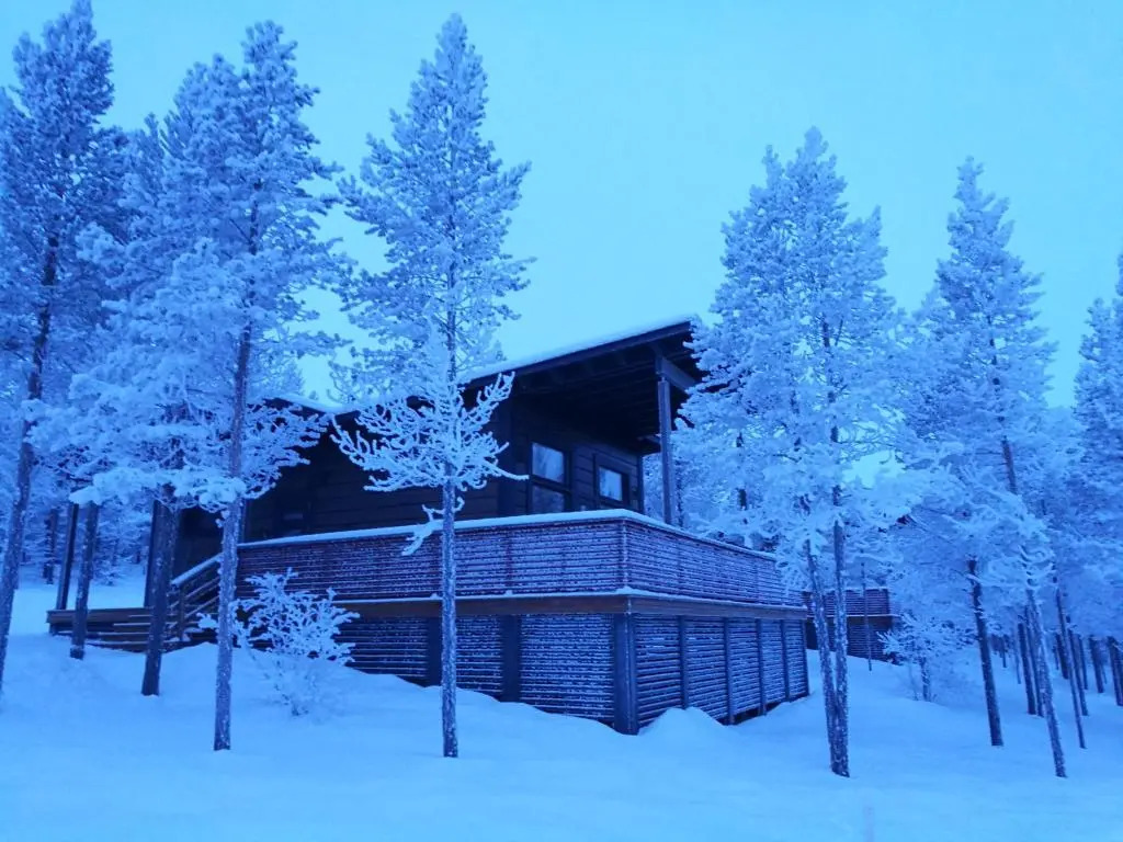 Lomatärppi