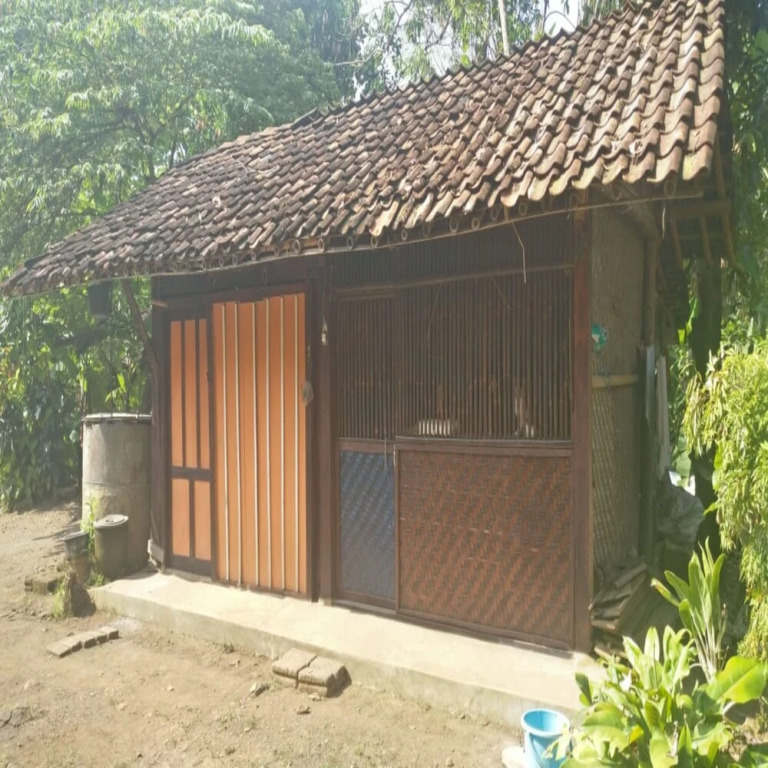 Penginapan Salsa