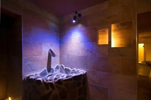 Hotel Lesana