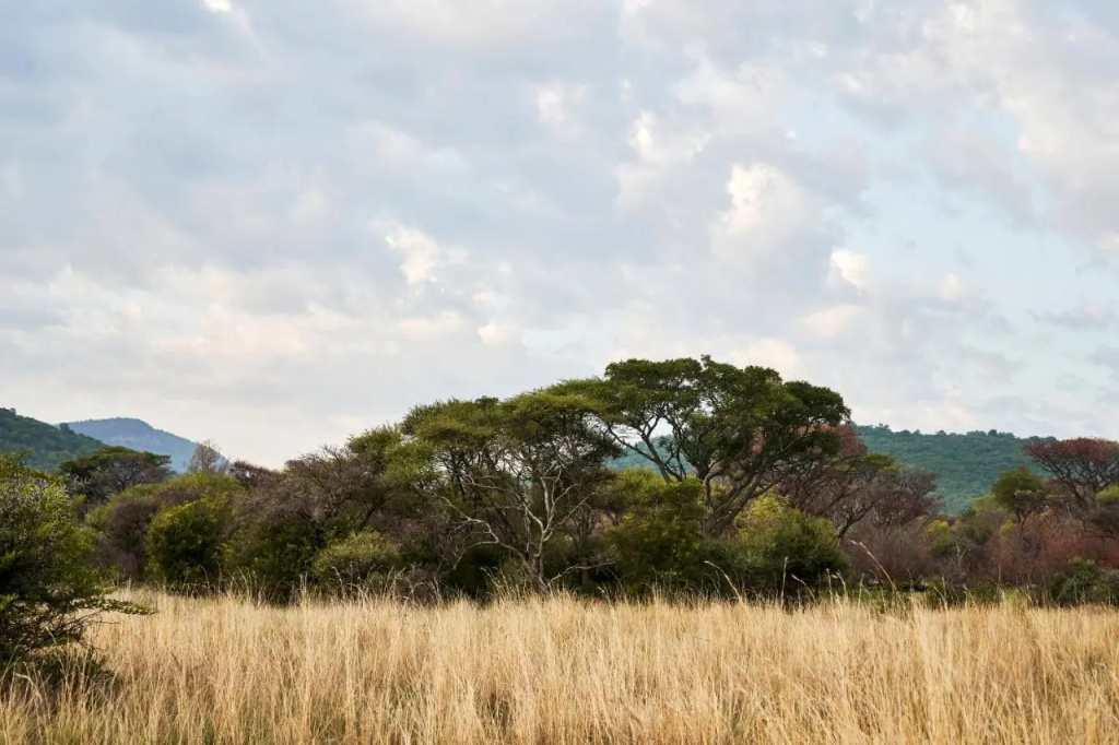 Letamo at Qwabi Private Game Reserve by NEWMARK