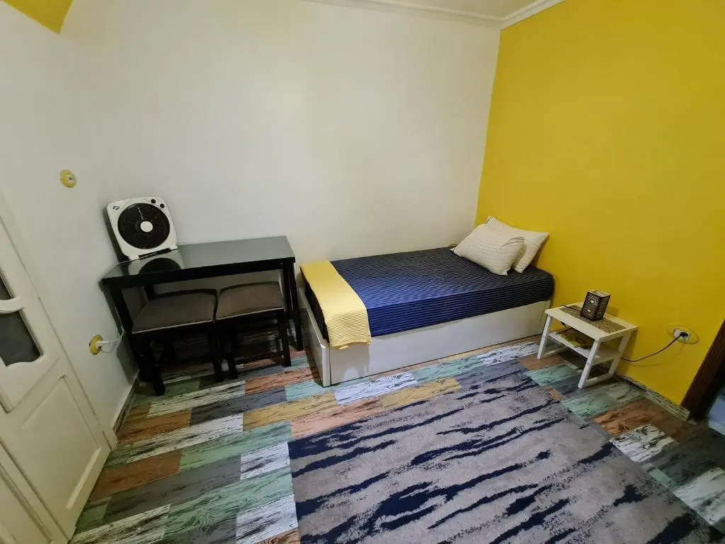 Sunny modern apartment with good internet, near from city center of Alexandria